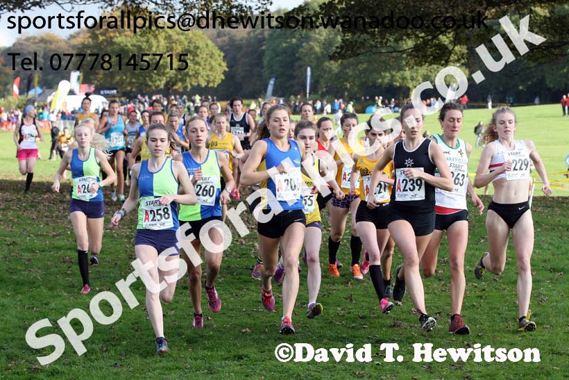 Senior womens Northern Cross Country Relays. Photo: David T. Hewitson/Sports for All Pics